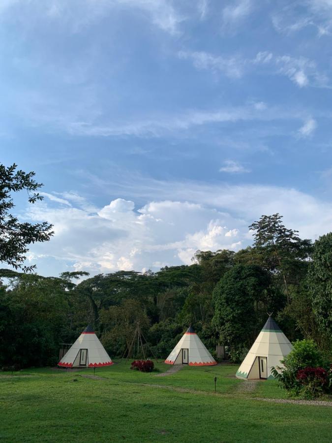 Refugio Del Bosque Glamping Hotel La Mesa  Eksteriør billede