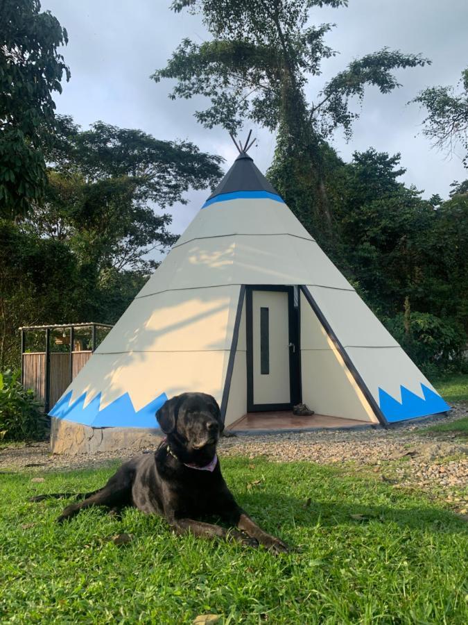 Refugio Del Bosque Glamping Hotel La Mesa  Eksteriør billede