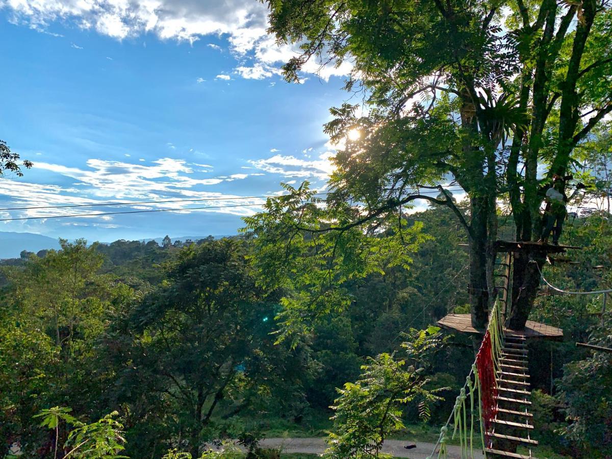 Refugio Del Bosque Glamping Hotel La Mesa  Eksteriør billede